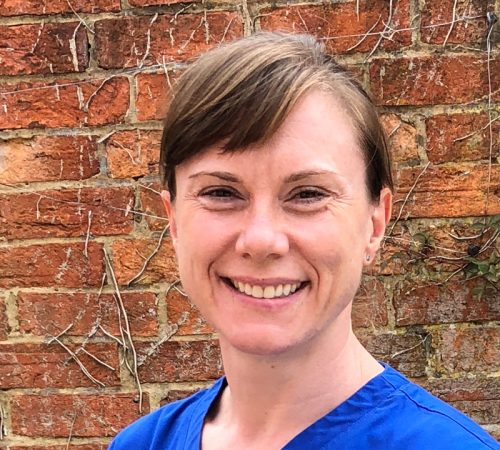 Team Member - Dr Sue Braun